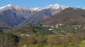 Bagnone