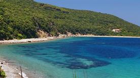 Cavo