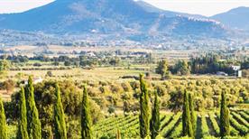 Gavorrano