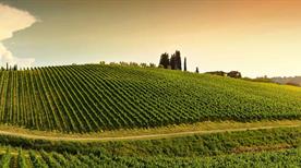 Greve in Chianti