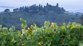 Montevarchi