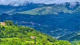 Reggello