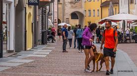 Brunico