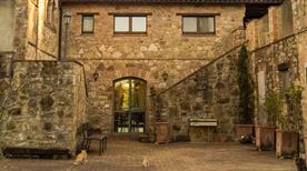 San Venanzo