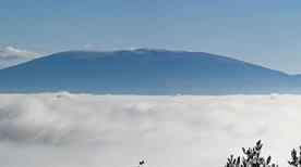 Valtopina