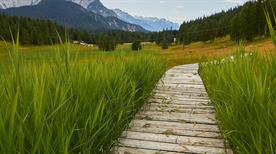 Danta di Cadore