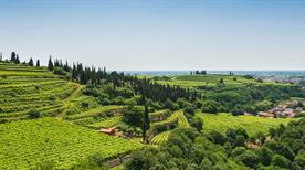 Soave