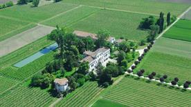 Cantina La Mincana-Dal Martello - >Due Carrare