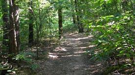 Parco dei Fontanili - >Cavaria con Premezzo