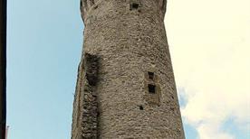 Torre di Guinigi - >Ortonovo