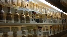 Museo di Scienze Naturali - >Malnate