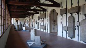 Museo di storia naturale faraggiana ferrandi  - >Novara