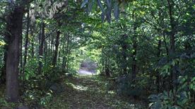 Parco Regionale dei Colli Euganei - >Este