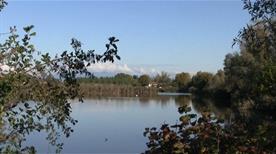 Oasi della Cave - >Noale