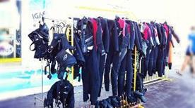 Blue Dolphins - >Lampedusa