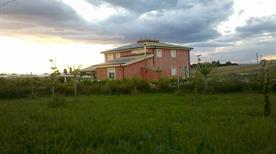 VINI SULTANA Vigneti e Cantine  - >Pachino