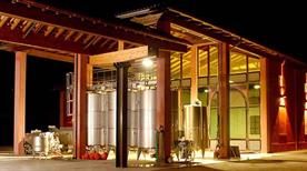 Azienda Agricola Az  - >Cavezzo