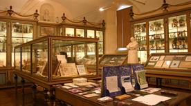Museo per la Storia dell'Università di Pavia - >Pavia