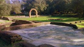 Villa di Plinio Rovine - >Roma