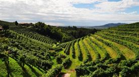Azienda Agricola Tanore' S.S. - >Valdobbiadene