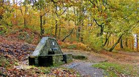 Parco di Fontesanta - >Bagno a Ripoli