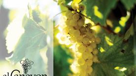Al Canevon Az. Agr. - >Valdobbiadene