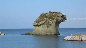 Scoglio del fungo - >Lacco Ameno