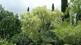 Oasi di Ninfa - >Norma