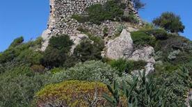 Castello Gioiosa Guardia  - >Villamassargia
