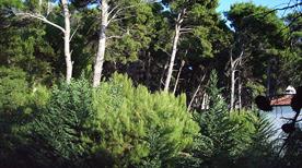 Pineta Marzini - >San Menaio