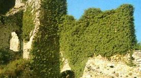 Castel Saiori ruderi - >Ala