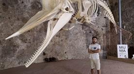MuMa Museo del Mare Milazzo - >Milazzo