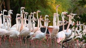 Zoo Punta Verde - >Lignano Sabbiadoro