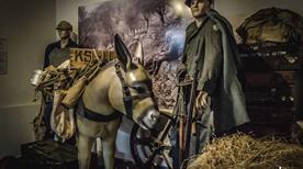 Museo Storico - >Venafro