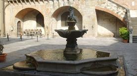 Fontana del Bacchino - >Prato