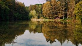 Parco naturale regionale dei Boschi di Carrega - >Collecchio