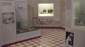 Museo Civico della Communitas Diani - >Diano Marina