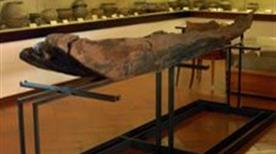 Museo della Società di Studi Patri - >Gallarate
