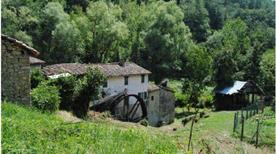 Oasi Prato Stagno di Sassoguidano - >Pavullo Nel Frignano