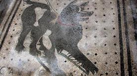 Casa del Poeta Tragico - >Pompei
