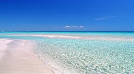 Spiaggia di Punta Prosciutto - >Porto Cesareo