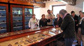 Museo di Storia Naturale A. Orsini - >Ascoli Piceno