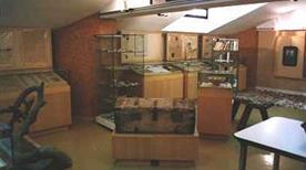 Museo Ippolito Nievo - >Fossalta di Portogruaro