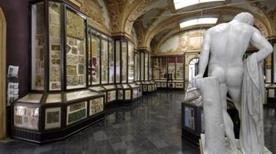 Deposito Museo Civico - >Modena