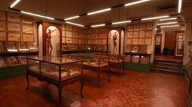 Museo Universitario di Storia Naturale e Strumentazione Scientifica - >Modena