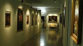 Pinacoteca Parmigiani - >Bedonia