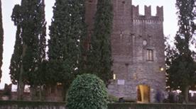 Museo Civico di Conegliano - >Conegliano