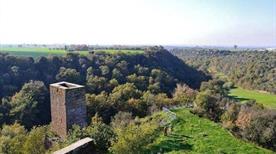 Torre di Asso - >Asso