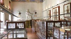 Museo di Storia Naturale - >Parme