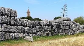 Parco Archeologico dei Messapi - >Cavallino Treporti